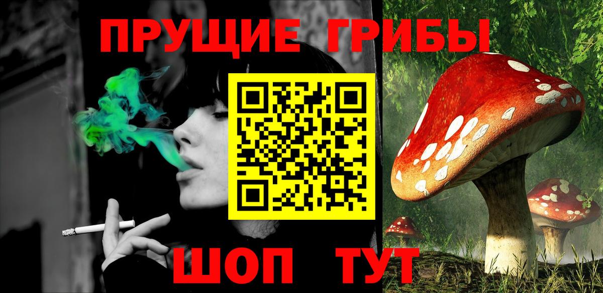 Галлюциногенные грибы мухоморы Сальск