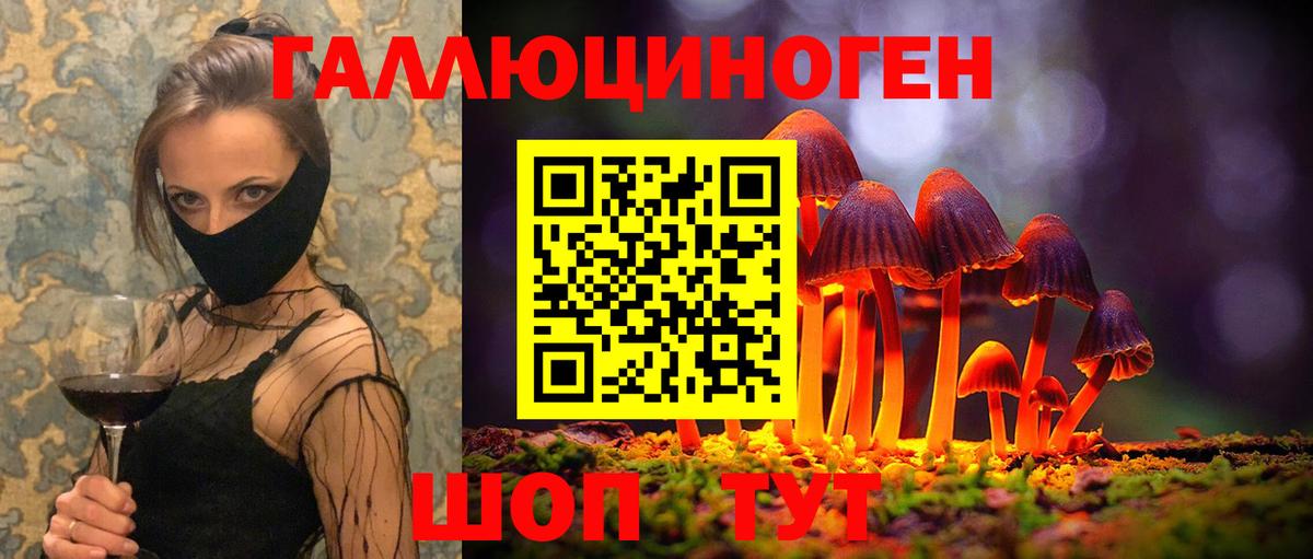 Галлюциногенные грибы GOLDEN TEACHER  Вход с VPN  Сальск 