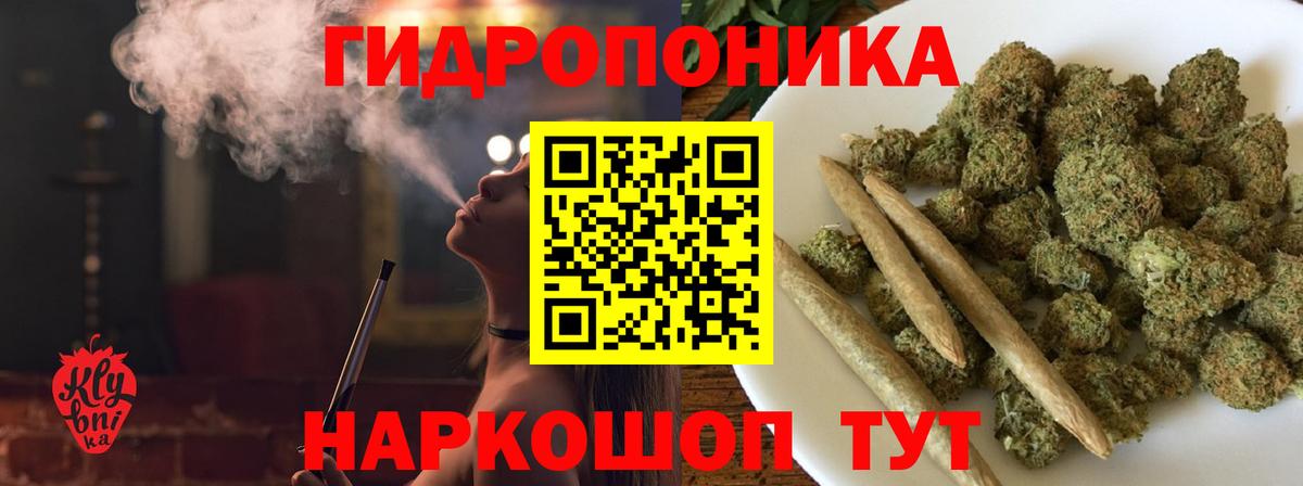 Шишки марихуана тримм  Конопля планчик  Шишки марихуана ГИДРОПОН  Вход с VPN  Сальск 